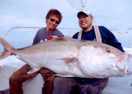 夢見釣到很多魚|夢見釣很多魚